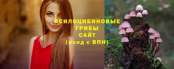 стафф Баксан