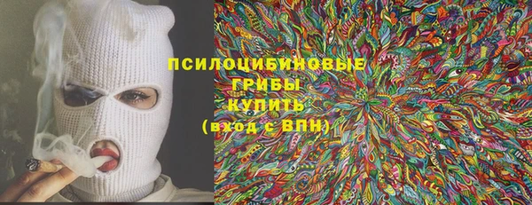 прущие крисы Балахна