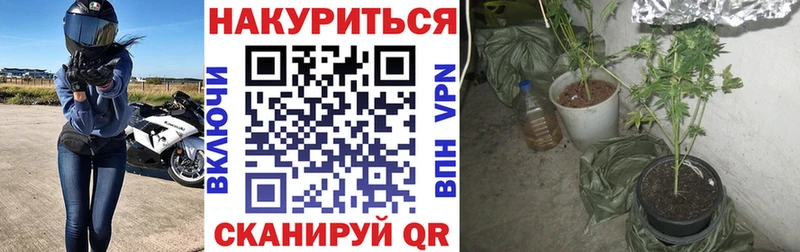 хочу наркоту  OMG зеркало  Каннабис AK-47  Бокситогорск 